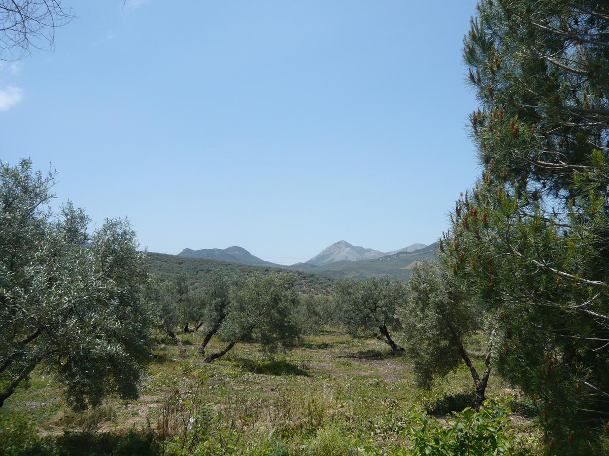 Villanueva del Rosario Venta Las Delicias מראה חיצוני תמונה