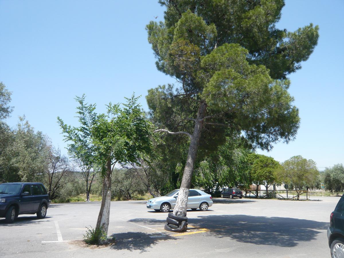 Villanueva del Rosario Venta Las Delicias מראה חיצוני תמונה